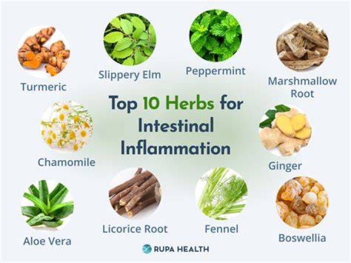 21 Natural Remedies for Common Health Issues