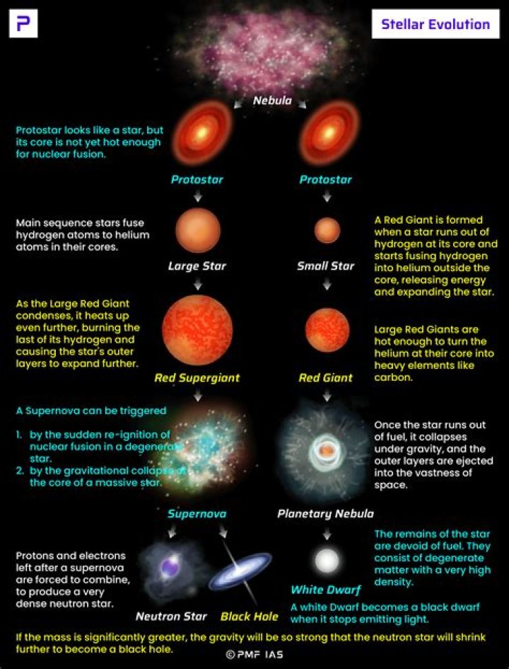 A Comprehensive Guide to the Stellar Cast of 