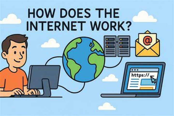 A Guide to Understanding the Internet Famous DTI Phenomenon
