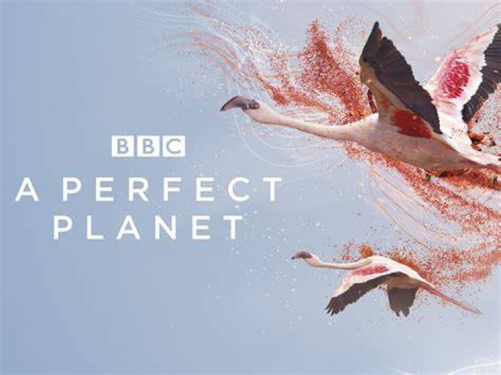 A Perfect Planet Kpkuang: Exploring the Beauty and Diversity of Nature