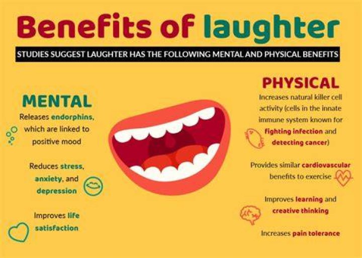 A Voyage of Laughter: A Sense of Amusement 17