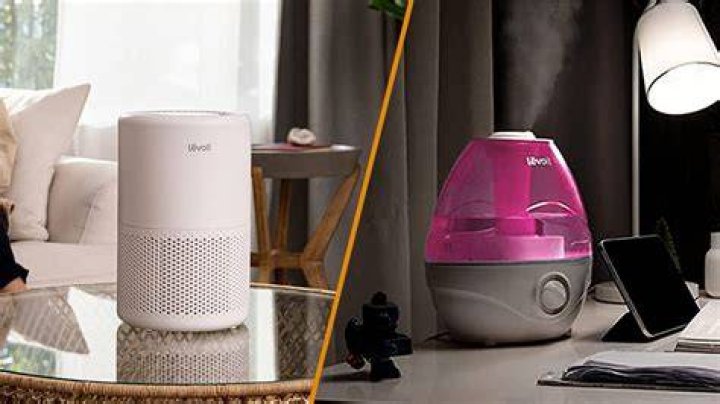Air Purifier vs Humidifier: Which One Is Right for You?