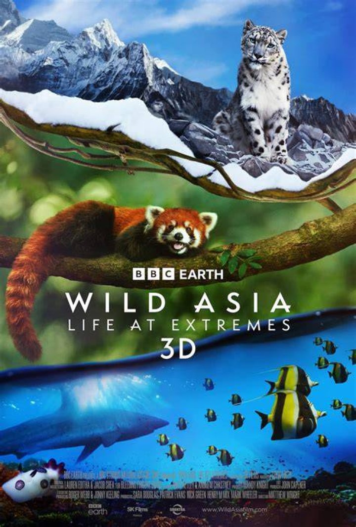 Andy: Living Life in the Extremes of Alaska