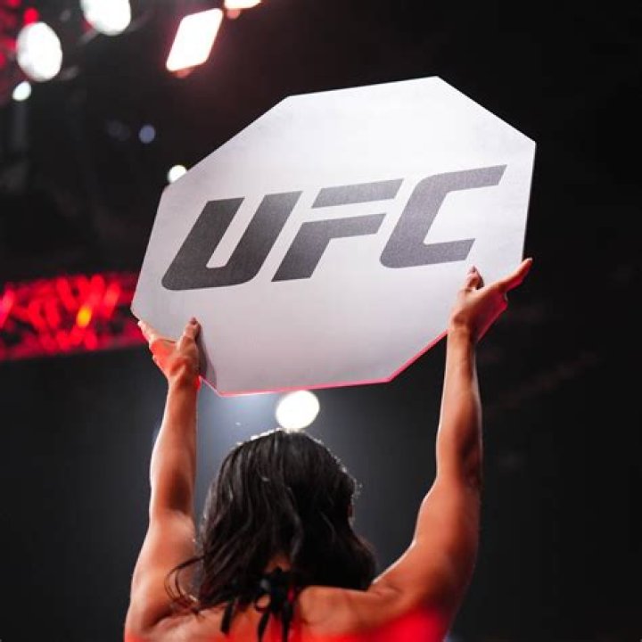 Arianny Celeste Measurements: A Closer Look Into the Life of the UFC Octagon Icon