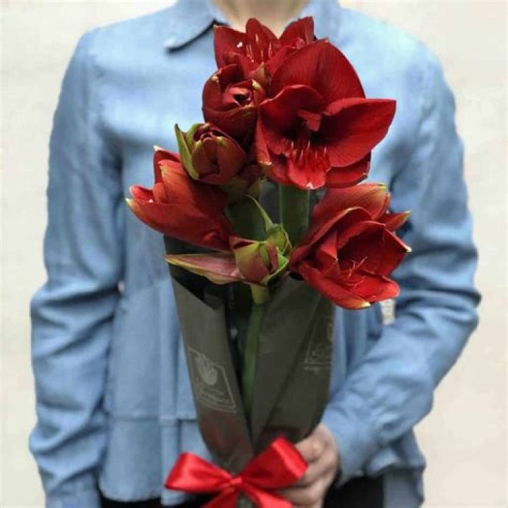 Beautiful Flowers, Always Fresh from Xiao Fang