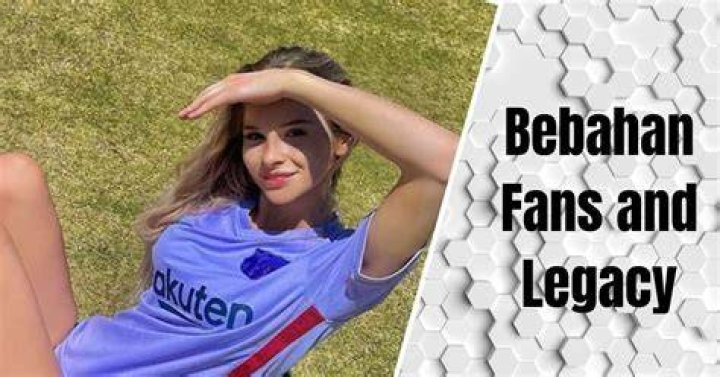Bebahan Fans: Understanding the Art of Fandom and Its Impact