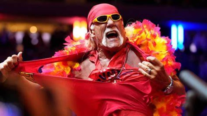 Behind the Controversy: The Hulk Hogan and Heather Video Saga