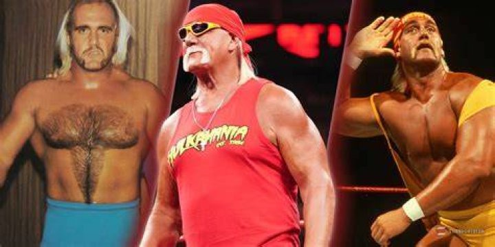 Behind the Scenes of the Hulk Hogan Full Sex Tape Controversy