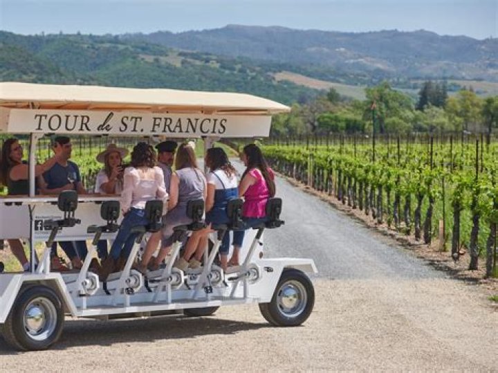 Best Vien's Winery Tours & Experiences!