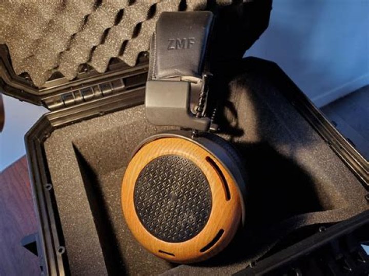 Best ZMF Headphones: Top Picks & Reviews