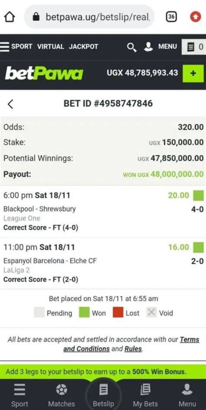 Betpawa UG: Your Ultimate Guide to Online Betting