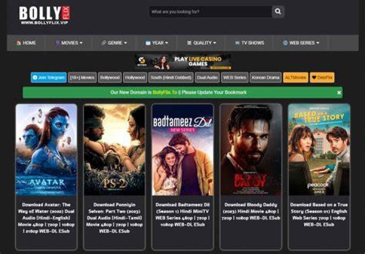 Bollyflix: The Ultimate Destination for Bollywood Entertainment
