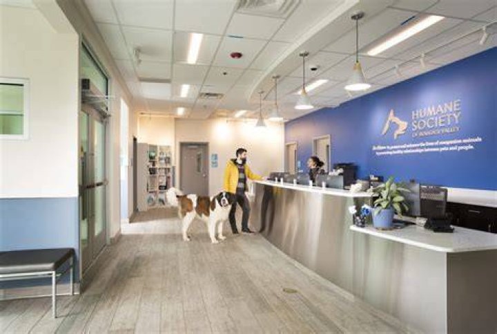 Boulder Humane Society: A Comprehensive Guide to Animal Welfare in Boulder, Colorado