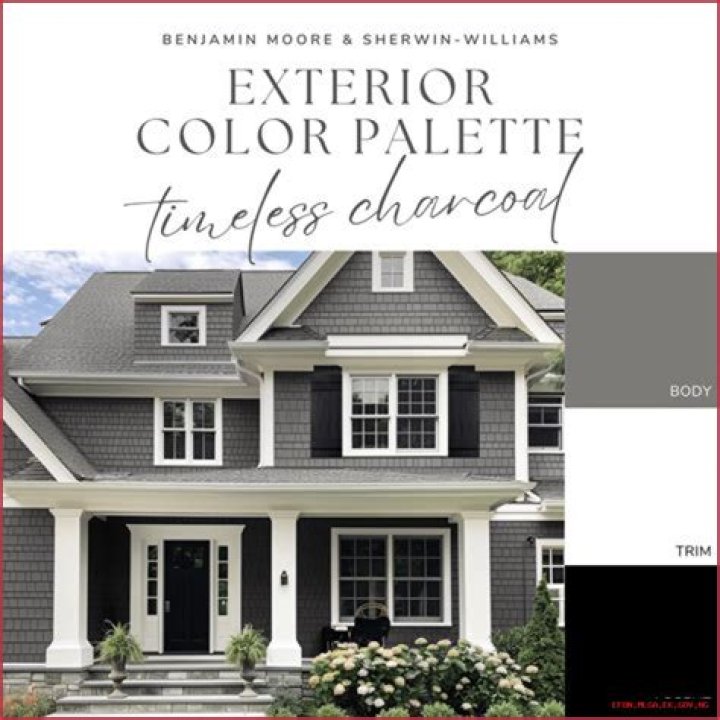 Brilliant Direct Colors: Vivid Hues for Your Next Project