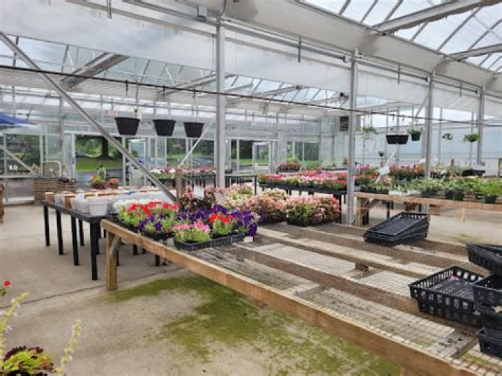 Buzas Nursery: Expert Plants & Landscaping
