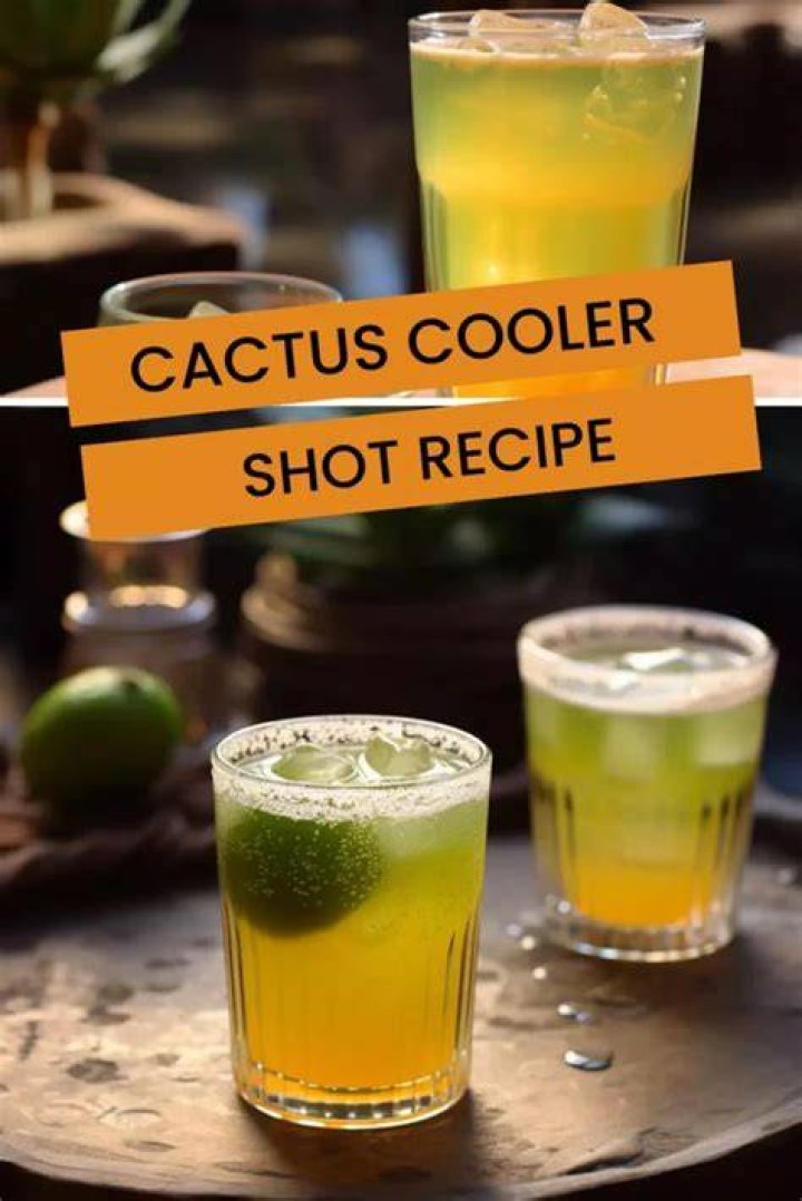 Cactus Cooler: The Refreshing Beverage You Need to Try