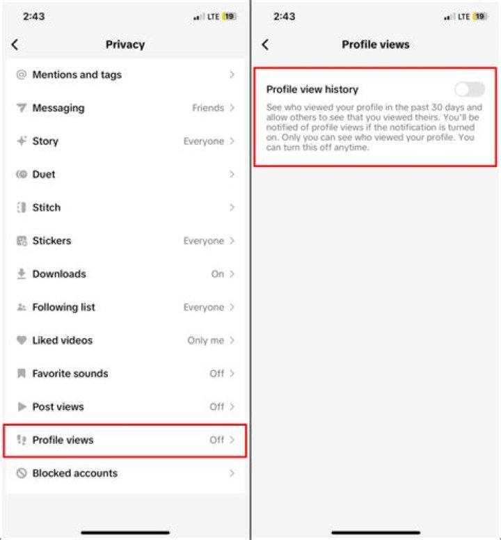 Can a TikTok Creator See Who Views Their Profile?