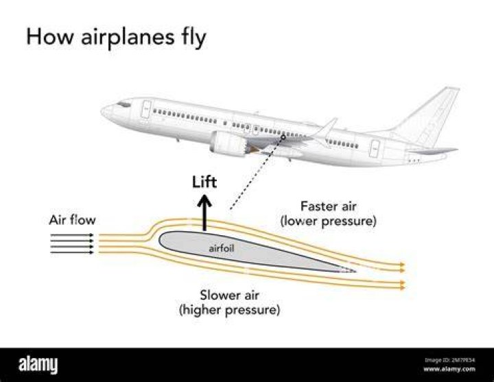 Can We Pretend That Airplanes Are More Than Just Machines?