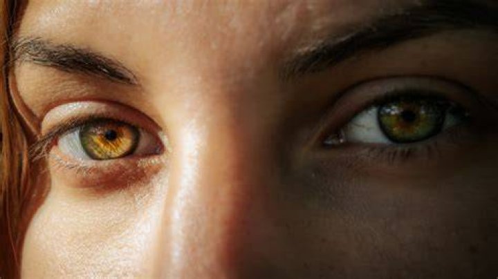 Celina Jaitley's Mesmerizing Eyes: A Deep Dive