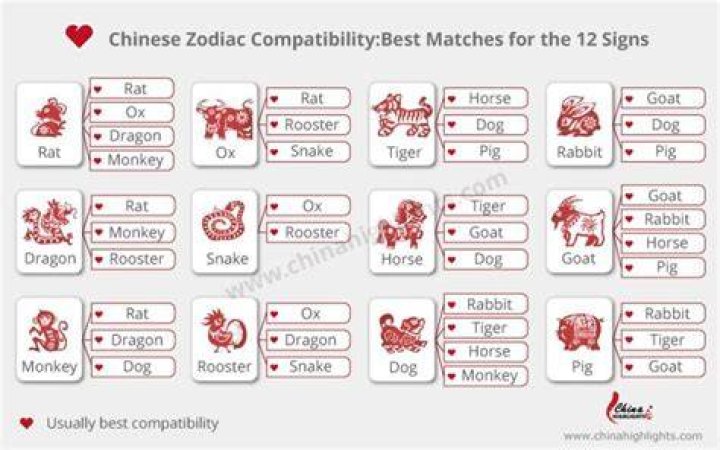 Chinese Star Signs Compatibility: Understanding the Zodiac Relationships