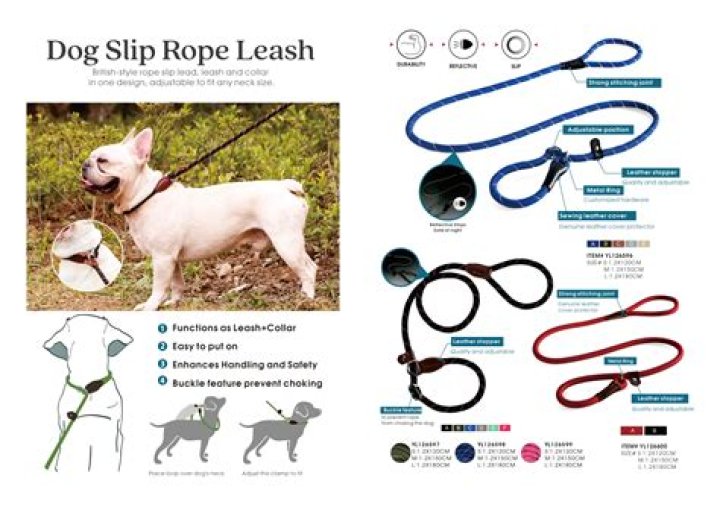 Comprehensive Guide to Choosing the Best Leashes for Dogs