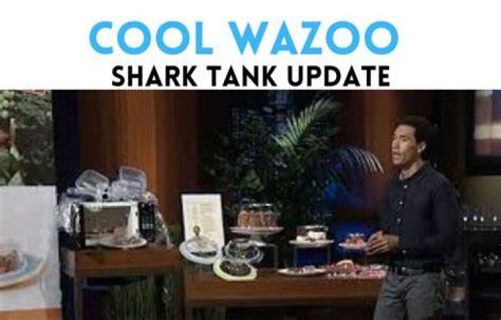 Cool Wazoo Shark Tank Update: Where is the Company Now?