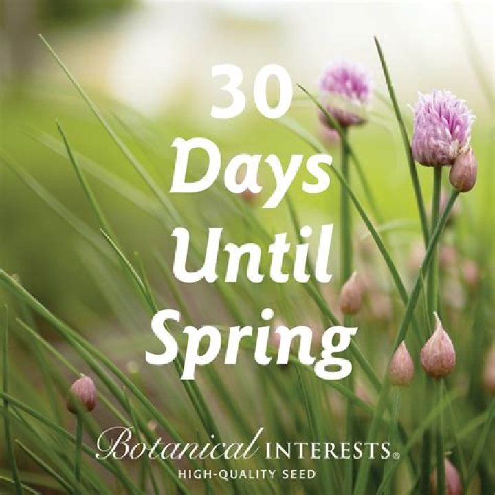 Counting Down the Days Until Spring: A Season of Renewal