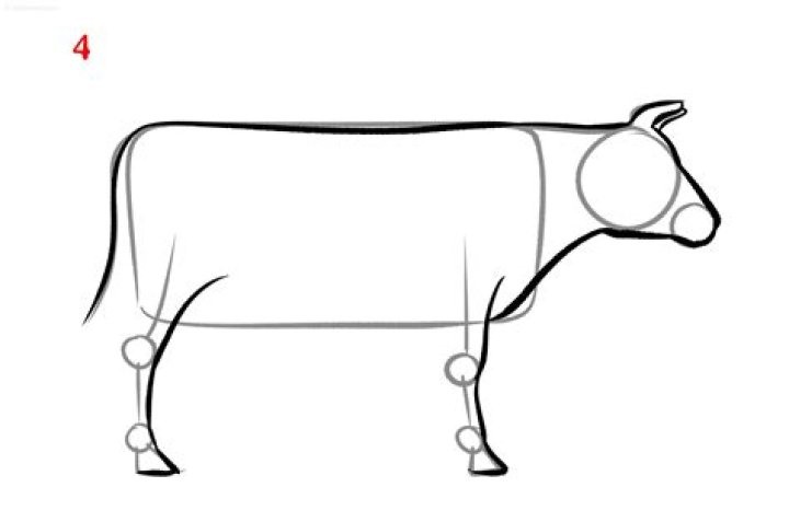 Cow Simple Drawing: A Step-by-Step Guide for Beginners