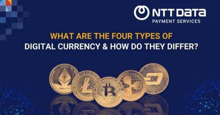 Coyyn: The Future of Digital Currency in a Decentralized World
