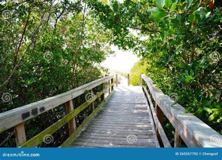 Cypress Point Park: A Hidden Gem in Tampa Bay