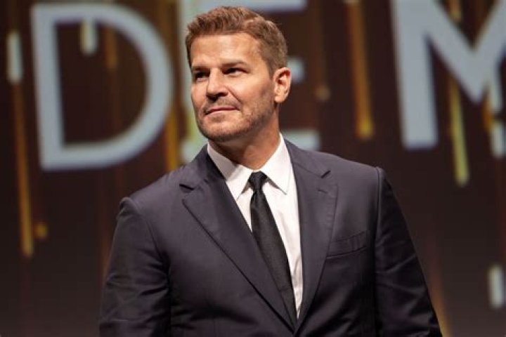 David Boreanaz's Wealth: An In-Depth Look at His Financial Success