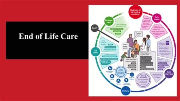 Devito Funeral Home: A Compassionate Approach to End-of-Life Services