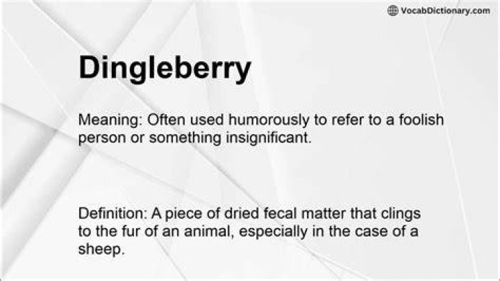 Dingleberry Meaning: Understanding the Term and Its Implications