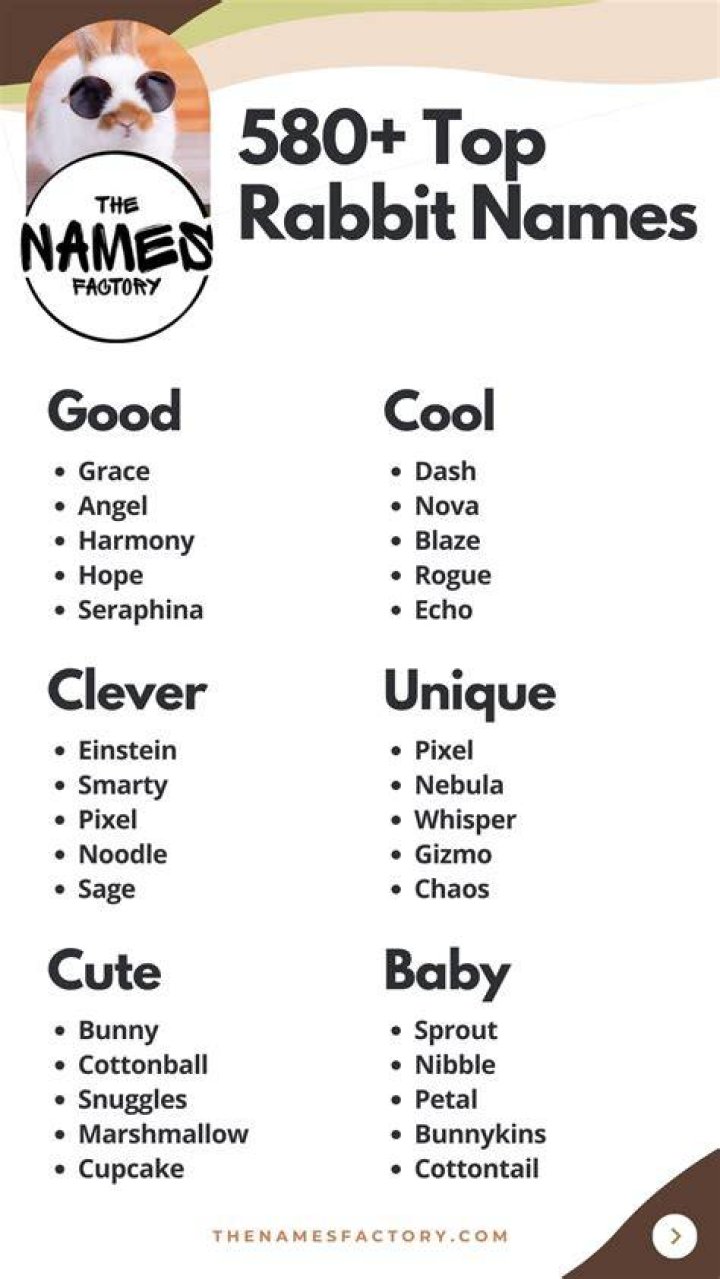 Discover Adorable Bunny Names: A Comprehensive List for Your Furry Friend