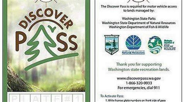 Discover Pellissippi: Your Local Guide & Resources