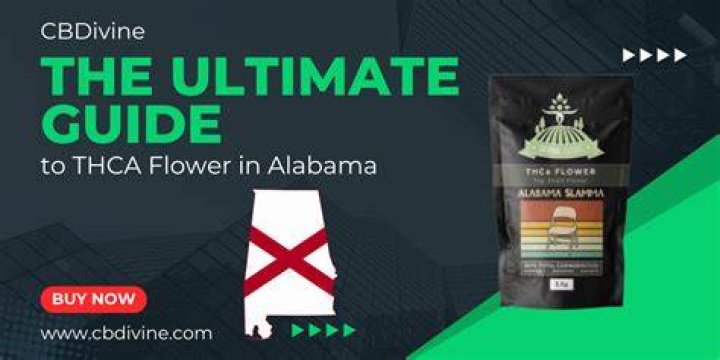 Discover THCA Flower in Alabama