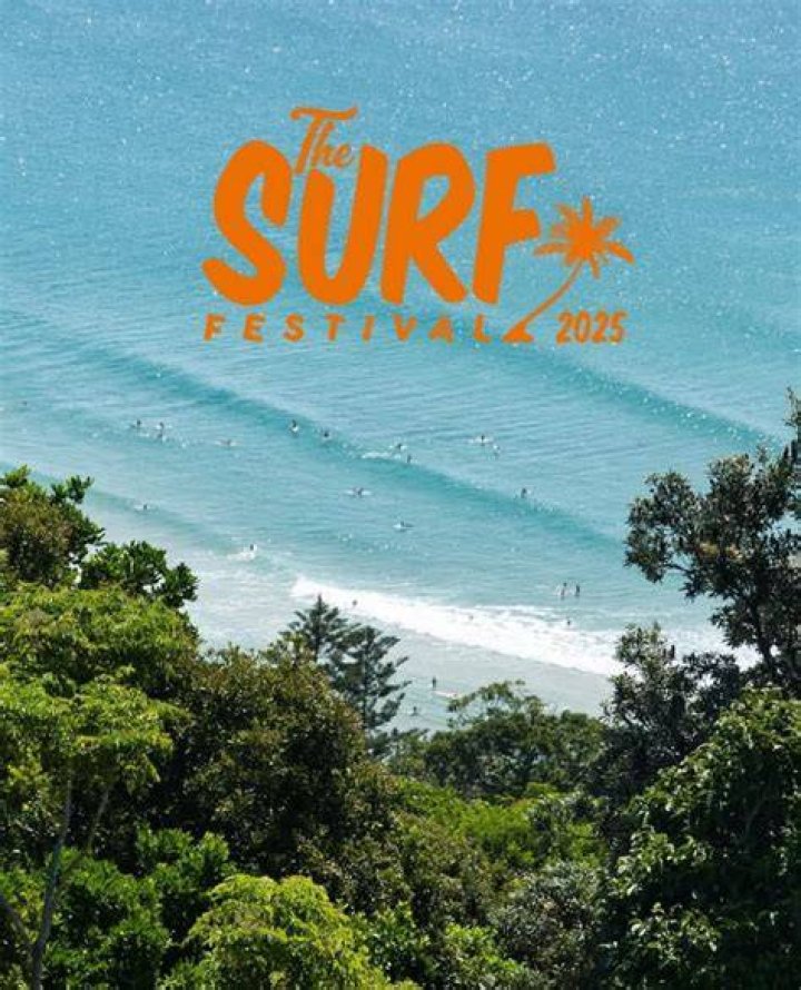 Discover Vissla: Surf's Up!
