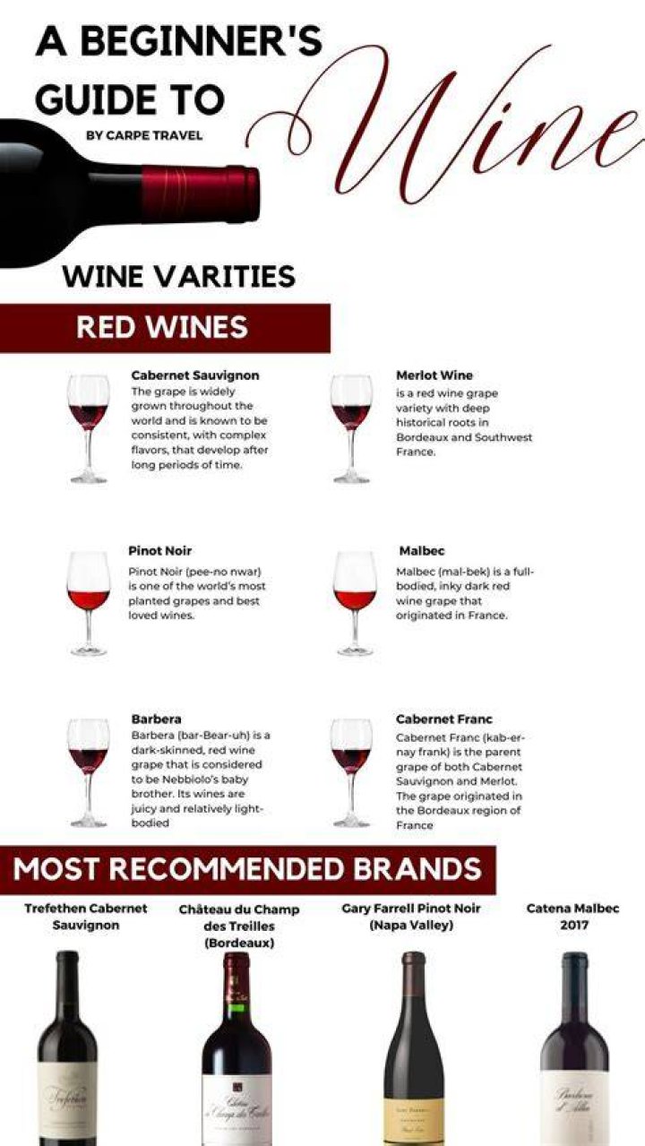 Discovering Astor Wines: A Comprehensive Guide to Fine Wines and Their Legacy