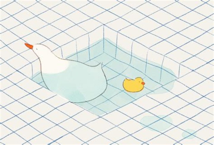 Discovering the Beauty of the White Duck
