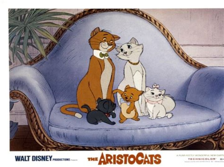 Discovering the Charm of Aristocats Names