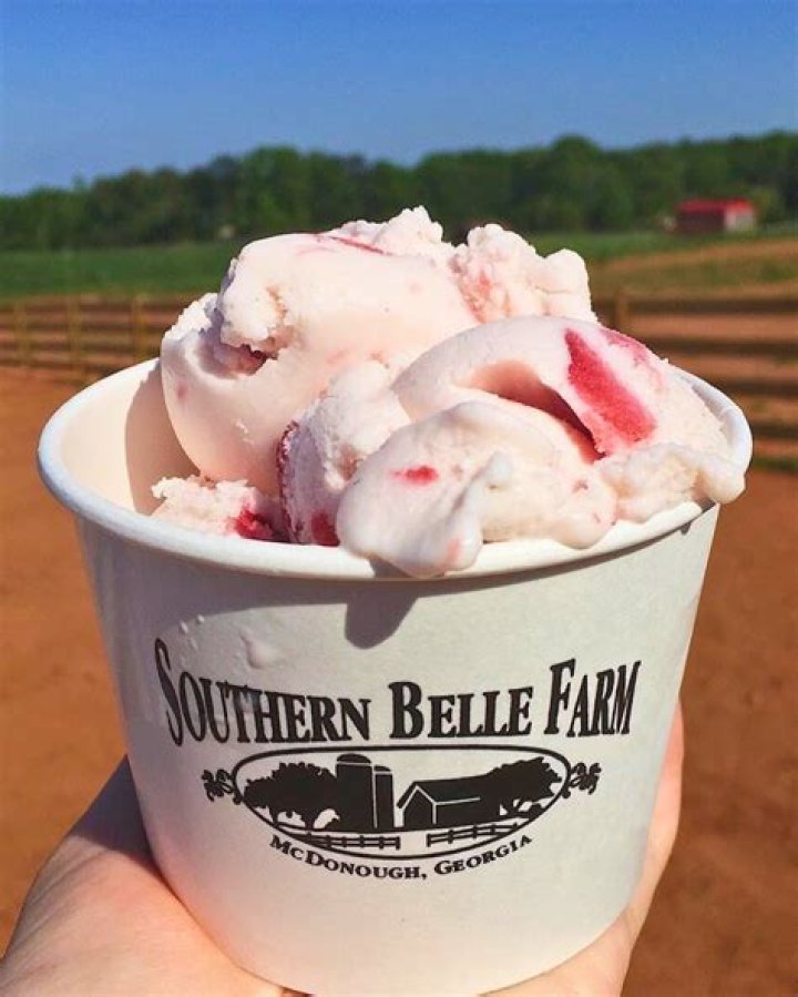 Discovering the Charm of Southern Belle Farm