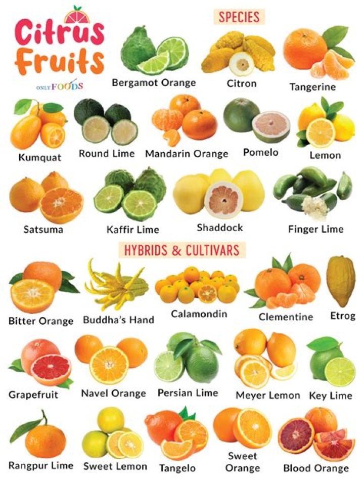 Discovering the Delightful World of Small Orange Fruits