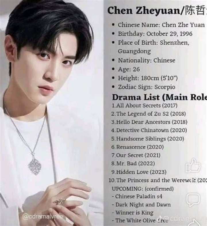 Discovering the Fascinating World of Chen Zheyuan: A Detailed Biography