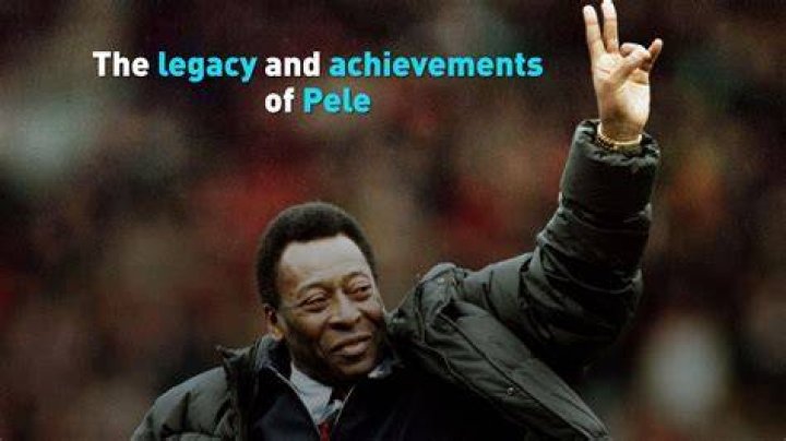Discovering the Life and Achievements of Steve Greener