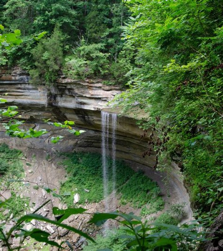 Discovering the Wonders of Clifty Falls State Park