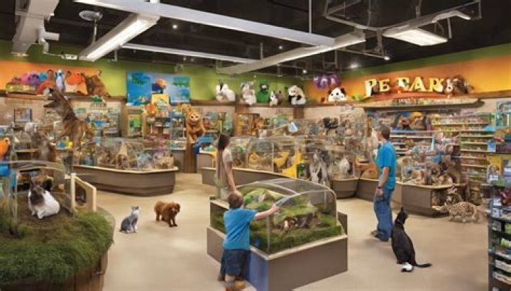 Discovering the Wonders of Exotic Pet Stores Near Me