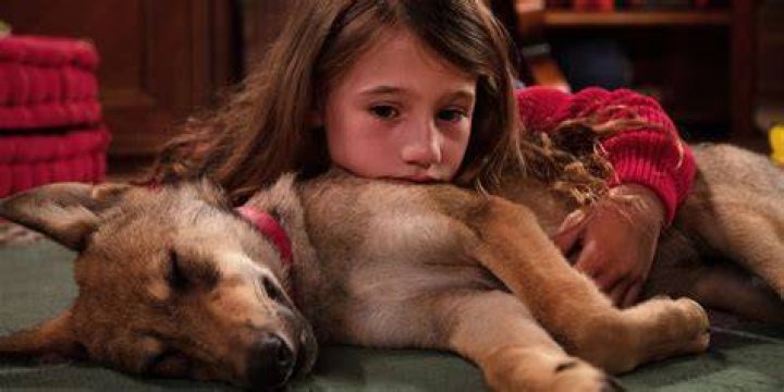 Discovering the World of Puppygirljenna: A Journey into Her Life and Passion