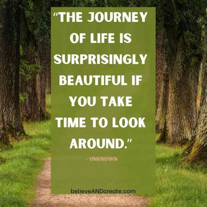 Discovering Vita Bella: A Journey Through Life’s Beauty