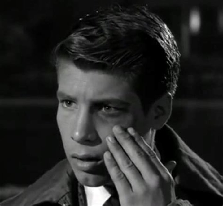 Don Grady: The Life and Legacy of an Iconic Actor