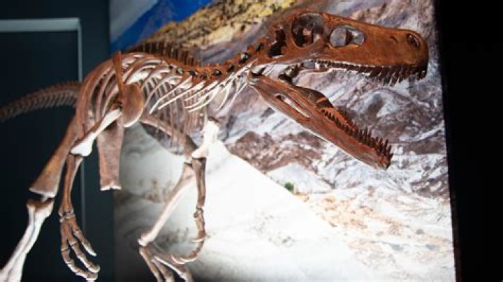 Dragon Bones Found in China: Unveiling the Mysteries of Ancient Legends